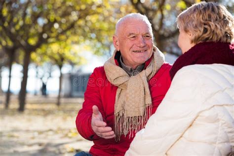 Mature Couple Talking In Park Stock Image Image Of Pastime Senior