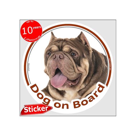brown american bully car sticker circle dog  board  cm decal