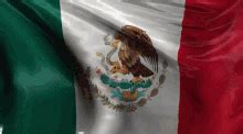 mexican flag wallpaper gif mexico flag transparent mexican flag waving  background png image