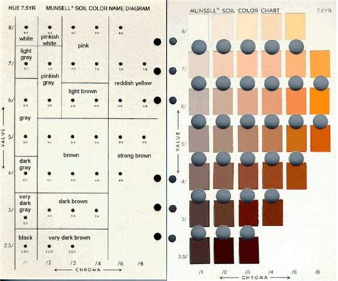 pin  hues ing color  science  research