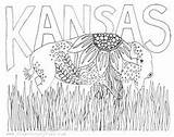 Wichita Undercover Kc Kansas sketch template