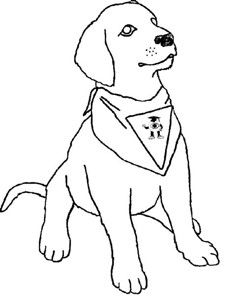 dog coloring pages   real