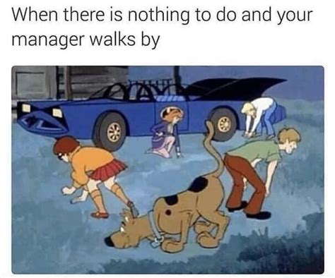 Me Irl Scooby Doo Know Your Meme
