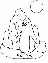 Coloring Penguins Animals Pages Easily Print sketch template