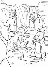 Brother Bear Coloring Fun Kids sketch template