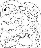 Coloring Pages Ladybug Printable Kids Shell Insect Lady Colouring Egg Color Bird Comments Rocks Getcolorings Insects sketch template