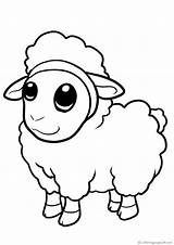 Sheep Coloringpages24 Print Coloring Pages sketch template