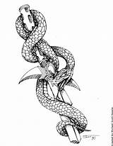 Tatuagens Cobras Hassified Traditional sketch template
