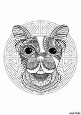 Mandala Coloring Dog Head Mandalas Funny Background Beautiful Geometric Patterns Cute sketch template