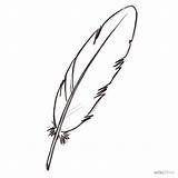 Feather Plume Plumas Dessiner Feathers Plumes Pluma Aves Dibujo Oiseau Crayon Dollz Turkey Heirs sketch template