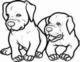 Pitbull Bull Staffordshire Terrier Pitbulls sketch template