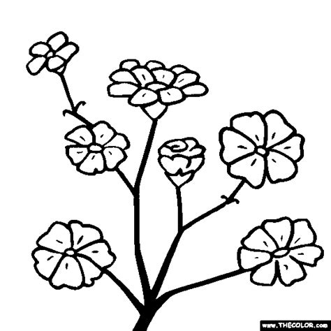flower coloring pages color flowers  page  clipart