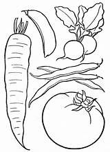 Vegetables Drawing Kids Paintingvalley sketch template