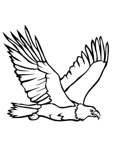eagle coloring pages   print eagle coloring pages