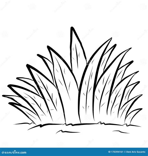 grass coloring pages  kids   print grass outline