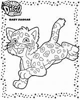 Coloring Jaguar Pages Color Diego Go Tigers Lions Animal Animals Tiger Print Baby Printable Dora Back Popular sketch template