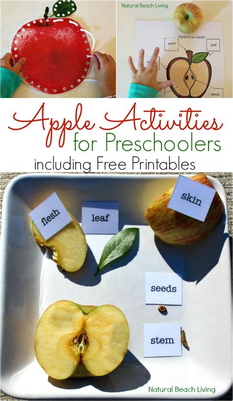 apple activities  preschoolers apple science  printables