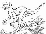 Monoclonius Gorgosaurus Deinonychus Dinosaur sketch template