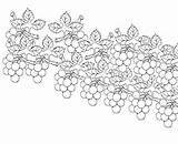 Enredadera Uvas Enredaderas Ernte Vigna Grapes Planta Herbst Autunno Malvorlage sketch template