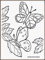 Kupu Mewarnai Hitam Putih Bunga Butterfly Diwarnai Hewan Mozaik Kolase Lukisan Insetos Freewaremini Hias Lembar Sketsa Ragam Fauna Corak Mewarna sketch template