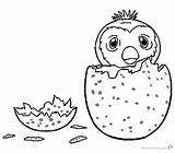 Coloring Pages Hatchimals Colleggtibles Draw Hatchy Printable Color Kids Print sketch template