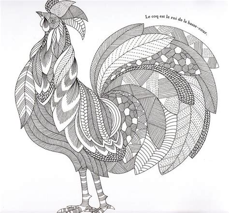 rooster coloringpages adult coloring chicken chicken coloring pages