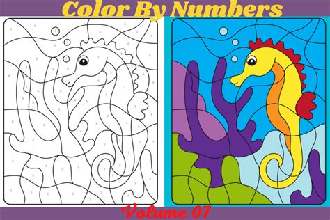 color  numbers graphic  sjstore creative fabrica
