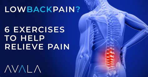 common lumbar pain syndromes  exercises   relieve symptoms