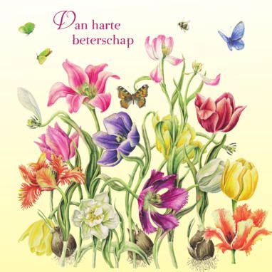 beterschapskaart met vrolijk boeket bloemen greetz jbs kaarten pinterest bloemen en met