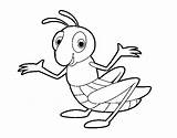 Saltamontes Gafanhoto Cavalletta Sauterelle Colorare Colorear Dibujos Grasshopper Infantile Dibuix Nourrisson Disegni Llagosta Insectos Animais Cdn5 sketch template