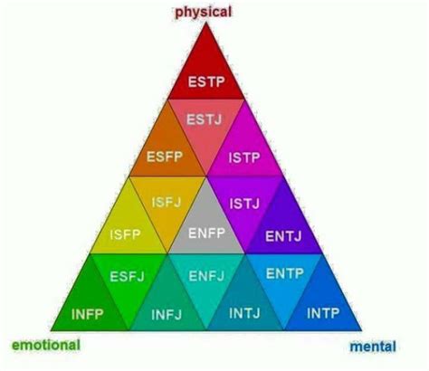 mbti emotional mental and physical 16 personnalités types de