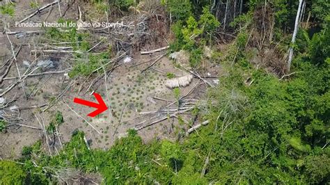 incredible drone footage shows isolated amazon tribe fox news