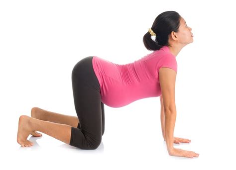 5 amazing prenatal yoga poses grokker