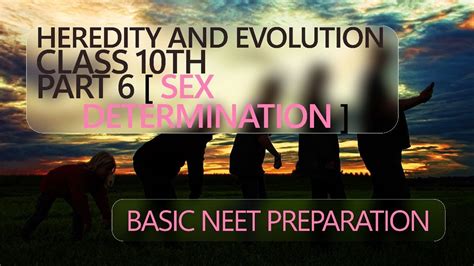 Heredity And Evolution Sex Determination Class 10 Ncert