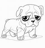Bulldog Coloring Pages Cute Puppy Kids sketch template
