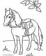 Coloring Pages Animal Horse Animals sketch template