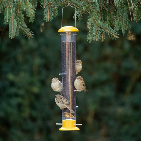 birds yellow topsy tails finch tube bird feeder