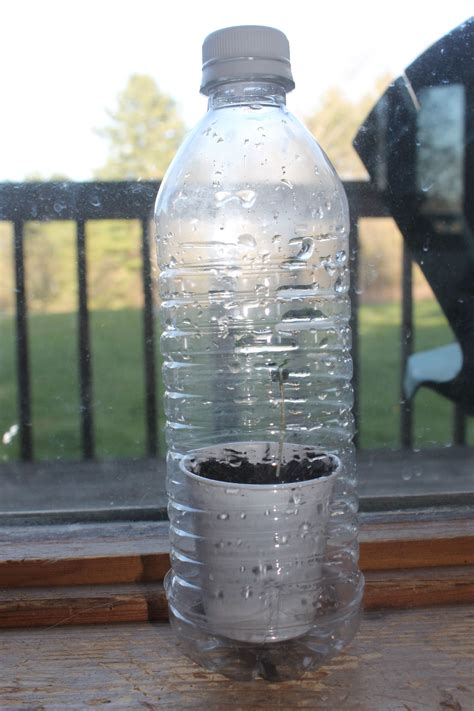 Water Bottle Greenhouse Archives Mynature Apps