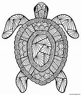 Coloring Pages Advanced Turtle Animal Printable Incredible Color Online sketch template