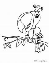 Tucan Perroquet Hellokids Ausmalen Coloriage Ptica Bird Ptice Coloriages Papagaio Pintar Bojanke Papagei Adler Línea Colorier Parrot Lunatique Nazad Aves sketch template