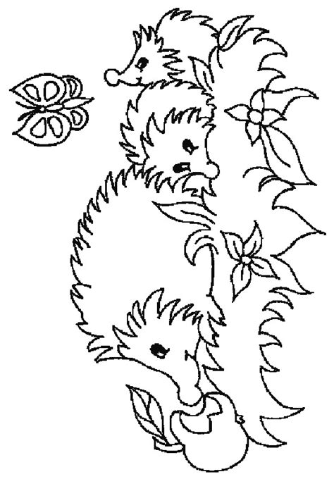 hedgehog coloring pages  kids updated