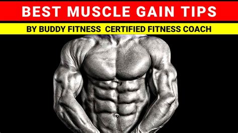 gain muscle fast muscle gain tips atbuddyfitness youtube