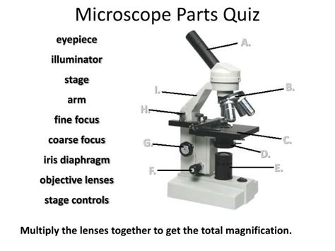 microscope parts quiz powerpoint    id