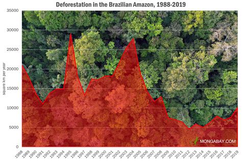 brazil revises deforestation data amazon rainforest loss topped