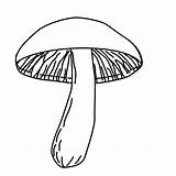 Clipart Fungus Fungi Coloring Pages Plants Clipground Gif Downloads sketch template