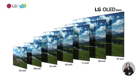 Lg Oled 2022 Understanding The Novelties Of The A2 B2 C2 G2 And Z2