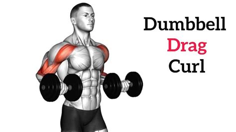 Dumbbell Drag Curl Benefit Variations And Muscle Worked