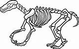 Skeleton Coloring Pages Print Dinosaur Template Bone Halloween sketch template