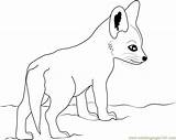 Fox Coloring Baby Pages Cute Printable Drawing Color Getcolorings Getdrawings Print Library Clipart sketch template