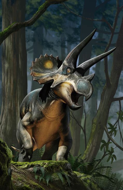 beasts   mesozoic triceratops subadult package art raul ramos